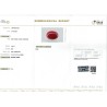 IIGJ Research & Laboratories | GJEPC Report for 5.5 cts Natural Coral (Moonga)