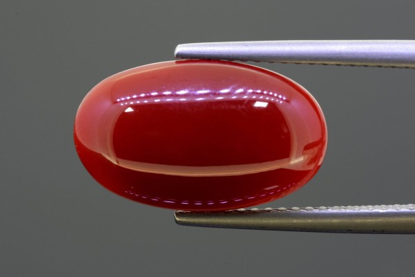 5.23 cts Natural Coral (Moonga)