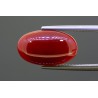 5.23 cts Natural Coral (Moonga)