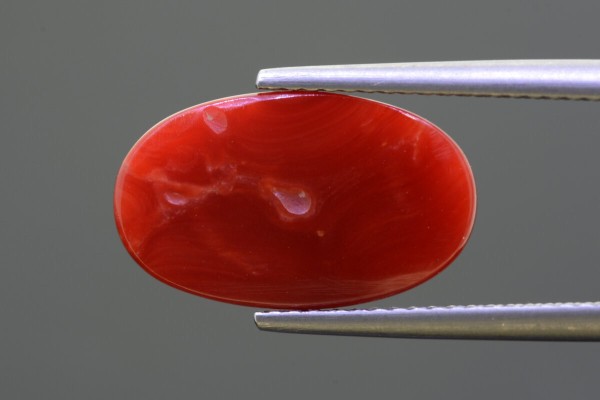 5.23 cts Natural Coral (Moonga)
