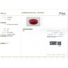 IIGJ Research & Laboratories | GJEPC Report for 5.23 cts Natural Coral (Moonga)
