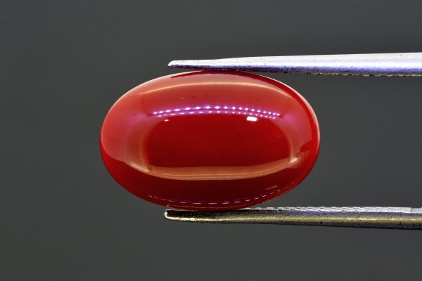 5.87 cts Natural Coral (Moonga)
