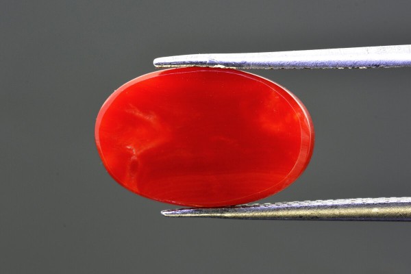 5.87 cts Natural Coral (Moonga)