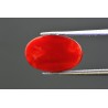 5.87 cts Natural Coral (Moonga)