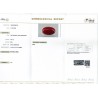 IIGJ Research & Laboratories | GJEPC Report for 5.87 cts Natural Coral (Moonga)