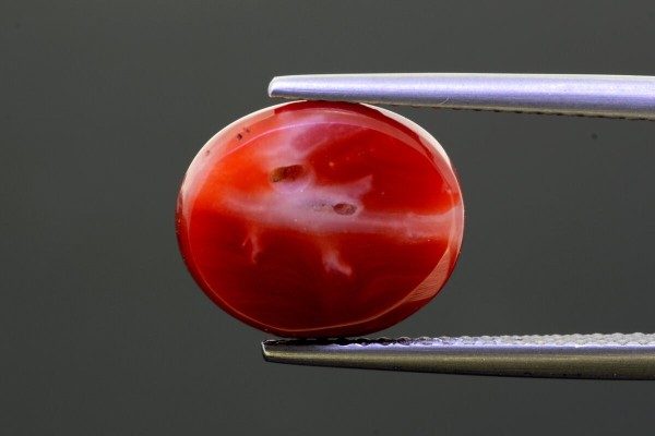 5.71 cts Natural Coral (Moonga)
