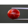 5.71 cts Natural Coral (Moonga)