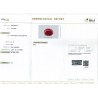 IIGJ Research & Laboratories | GJEPC Report for 5.71 cts Natural Coral (Moonga)