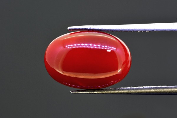 9.73 cts Natural Coral (Moonga)