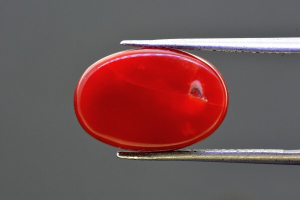 9.73 cts Natural Coral (Moonga)