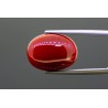 12.39 cts Natural Coral (Moonga)