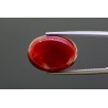 12.39 cts Natural Coral (Moonga)