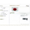 IIGJ Research & Laboratories | GJEPC Report for 12.39 cts Natural Coral (Moonga)