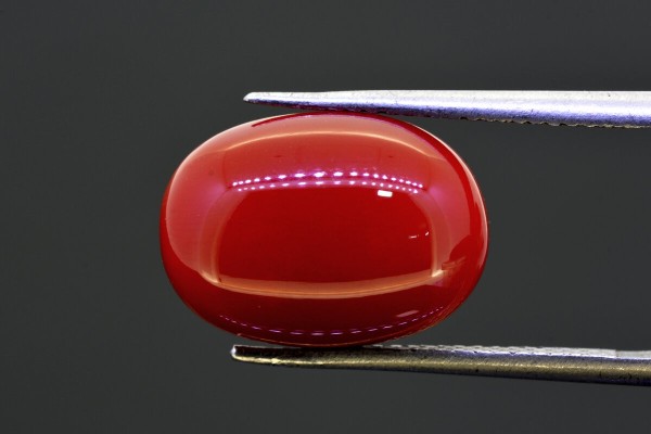 9.61 cts Natural Coral (Moonga)