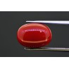 9.61 cts Natural Coral (Moonga)