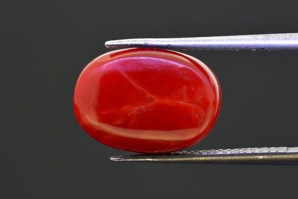 9.61 cts Natural Coral (Moonga)