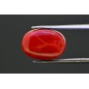9.61 cts Natural Coral (Moonga)