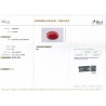 IIGJ Research & Laboratories | GJEPC Report for 9.61 cts Natural Coral (Moonga)