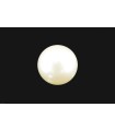 3.46 cts Cultured Pearl (Moti)