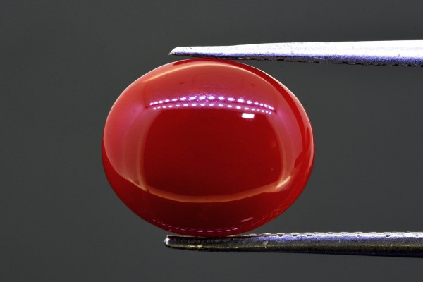4.8 cts Natural Coral (Moonga)
