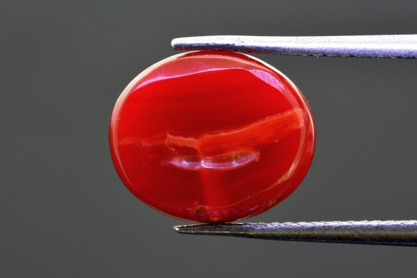 4.8 cts Natural Coral (Moonga)