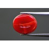 4.8 cts Natural Coral (Moonga)
