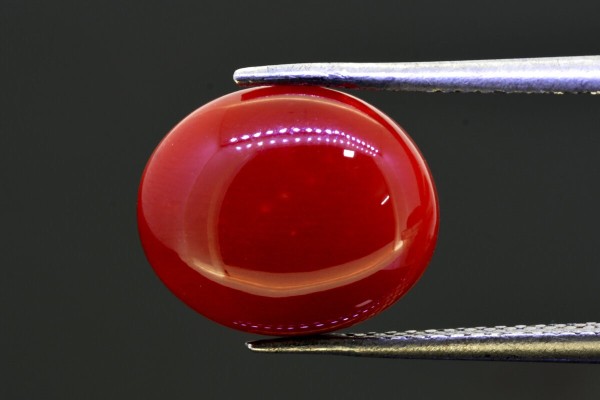 5.34 cts Natural Coral (Moonga)