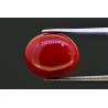 5.34 cts Natural Coral (Moonga)