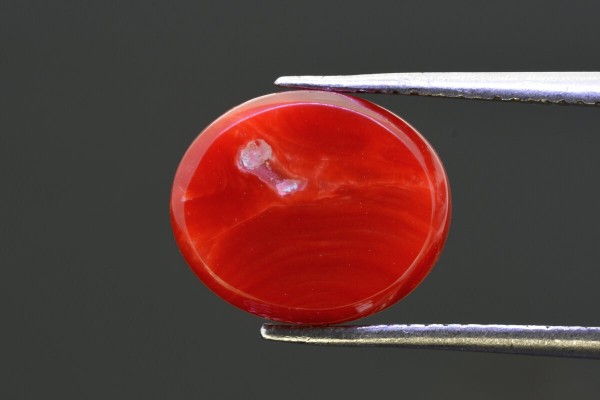 5.34 cts Natural Coral (Moonga)