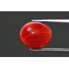 5.34 cts Natural Coral (Moonga)