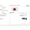IIGJ Research & Laboratories | GJEPC Report for 5.34 cts Natural Coral (Moonga)