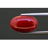 8.18 cts Natural Coral (Moonga)