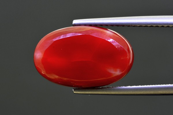 8.18 cts Natural Coral (Moonga)