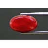 8.18 cts Natural Coral (Moonga)