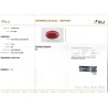 IIGJ Research & Laboratories | GJEPC Report for 8.18 cts Natural Coral (Moonga)