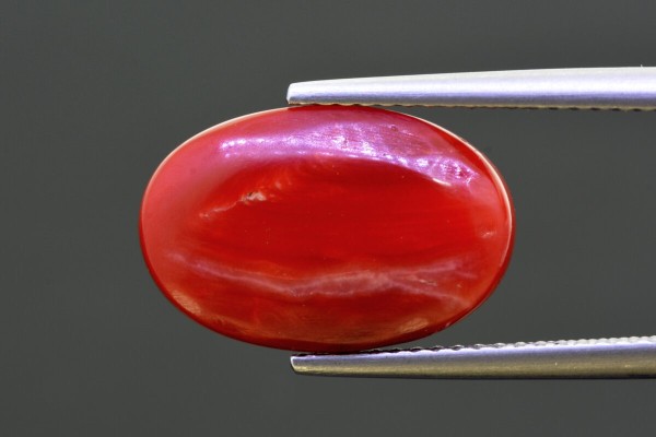 8.44 cts Natural Coral (Moonga)