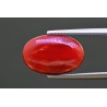8.44 cts Natural Coral (Moonga)