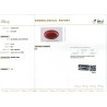 IIGJ Research & Laboratories | GJEPC Report for 8.44 cts Natural Coral (Moonga)