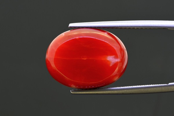14.21 cts Natural Coral (Moonga)
