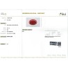 IIGJ Research & Laboratories | GJEPC Report for 14.21 cts Natural Coral (Moonga)