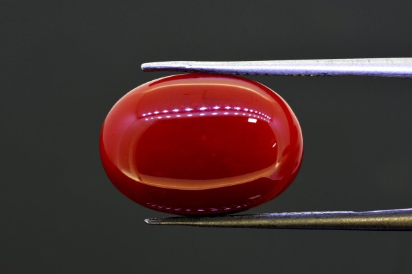 11.96 cts Natural Coral (Moonga)
