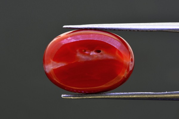 11.96 cts Natural Coral (Moonga)