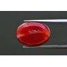 11.96 cts Natural Coral (Moonga)