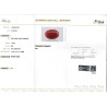 IIGJ Research & Laboratories | GJEPC Report for 11.96 cts Natural Coral (Moonga)
