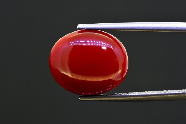 8.76 cts Natural Coral (Moonga)