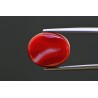 8.76 cts Natural Coral (Moonga)