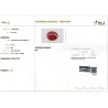 IIGJ Research & Laboratories | GJEPC Report for 8.76 cts Natural Coral (Moonga)