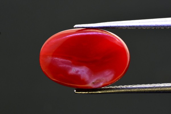6.08 cts Natural Coral (Moonga)