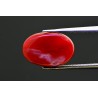 6.08 cts Natural Coral (Moonga)