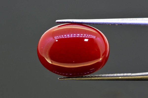 16.12 cts Natural Coral (Moonga)